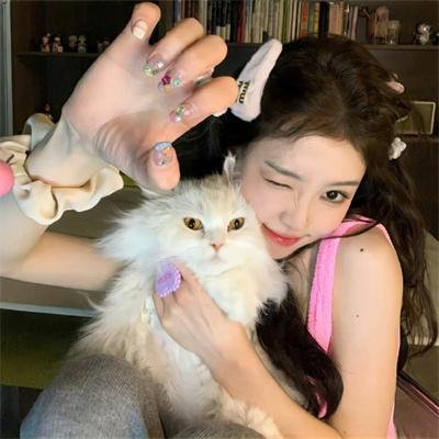 老鼠龙之猛龙过港